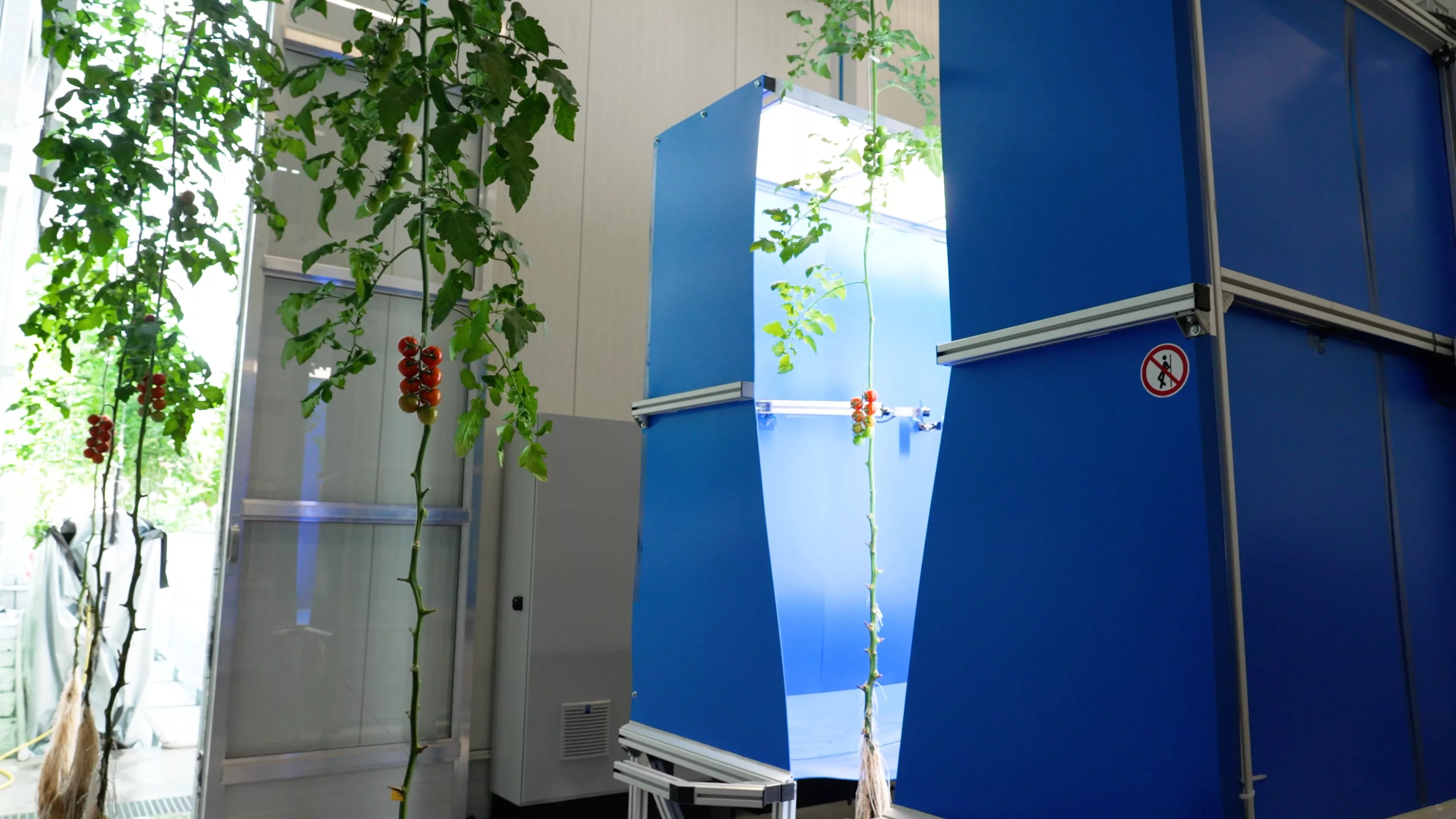 20250604 SAIA Mobile Plants to AI Scan station