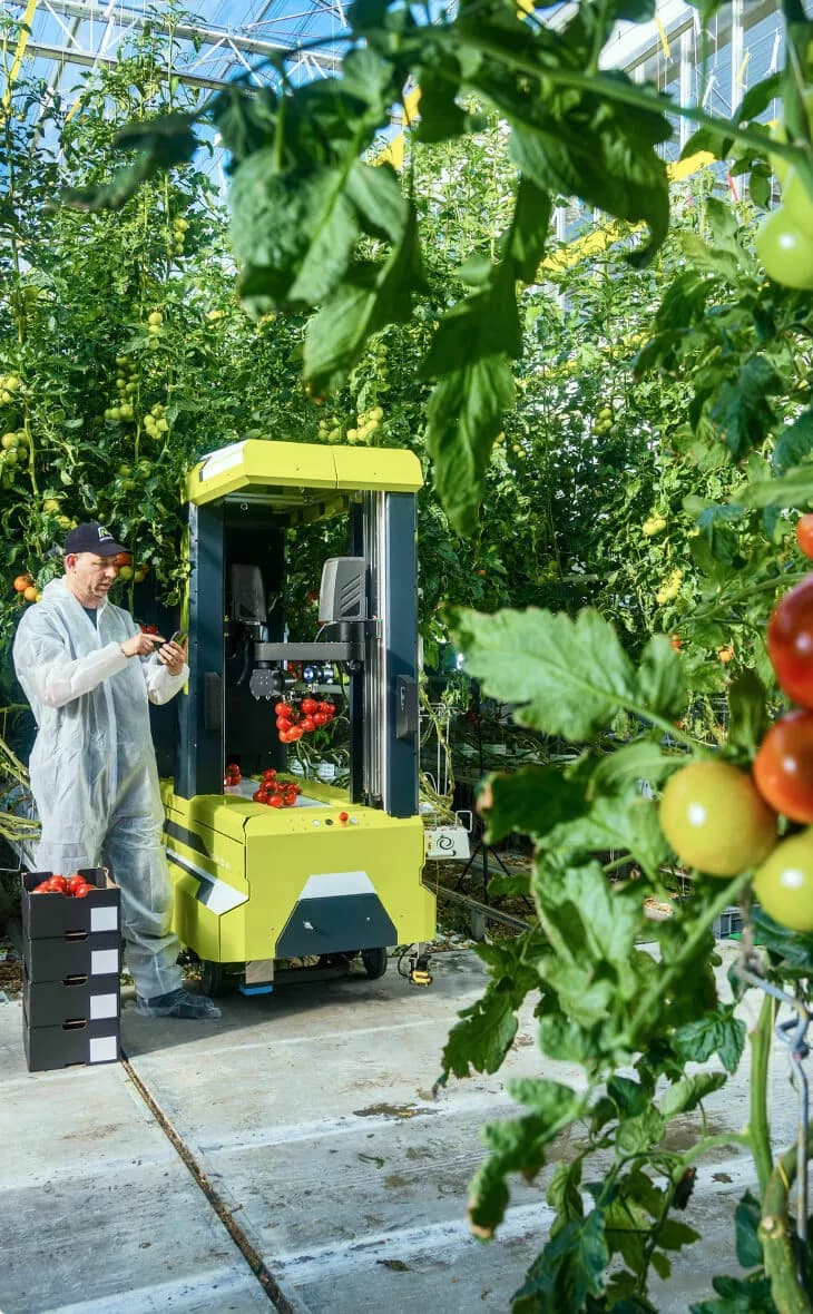 Metomotion investment