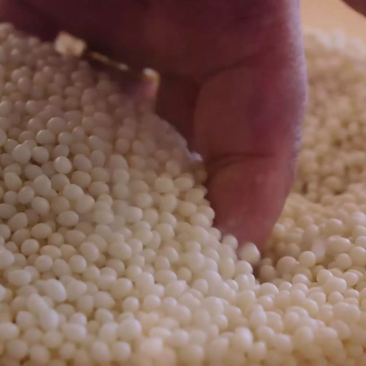 Rodenburg investment2